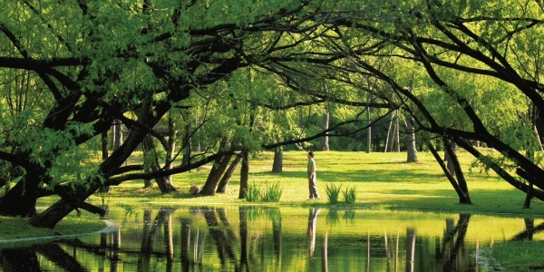 2026年4月26日十二生肖运势详解 