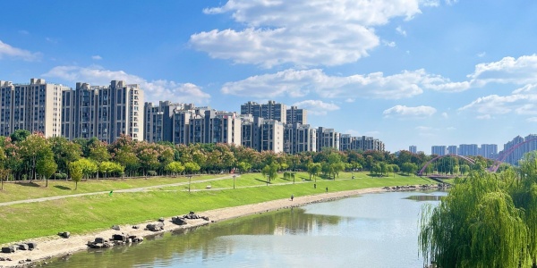 2026年4月29日十二生肖运势详解 