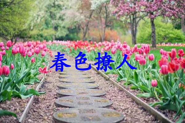 春色撩人
