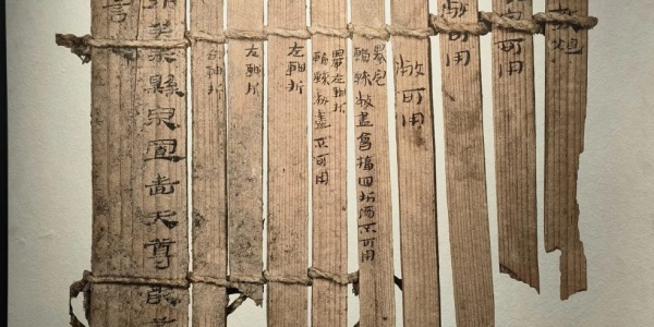 残编断简是什么生肖（残编断简打一生肖） 