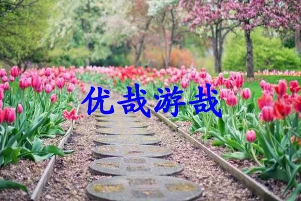 优哉游哉