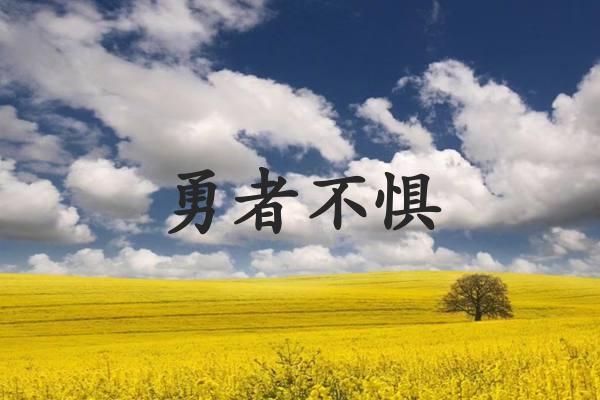 勇者不惧