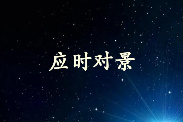应时对景