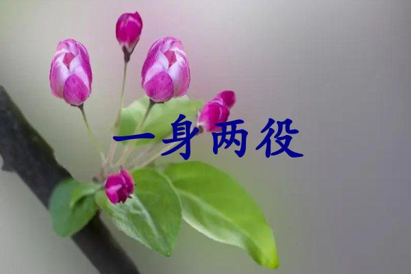 一身两役
