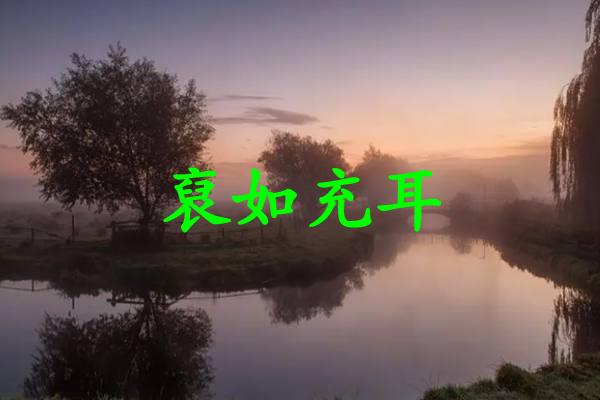 裒如充耳