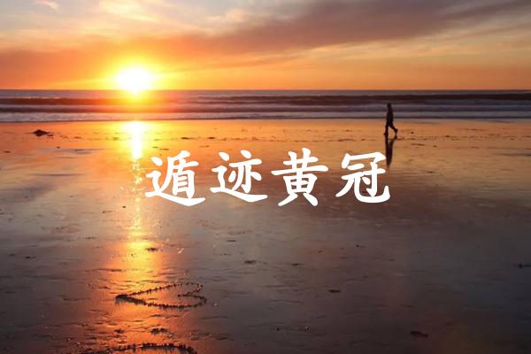 遁迹黄冠