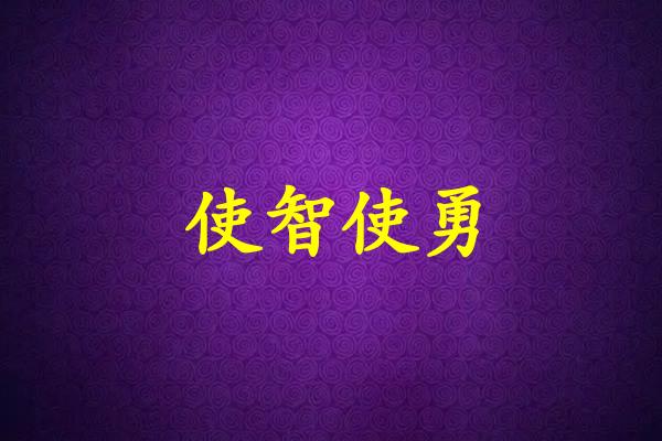 使智使勇