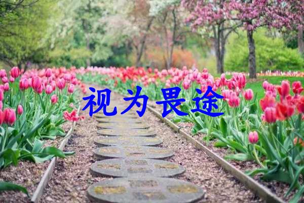 视为畏途