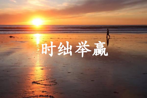 时绌举赢