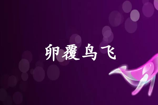 卵覆鸟飞