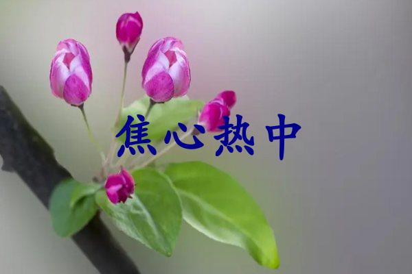 焦心热中