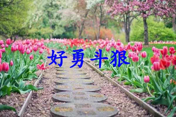 好勇斗狠