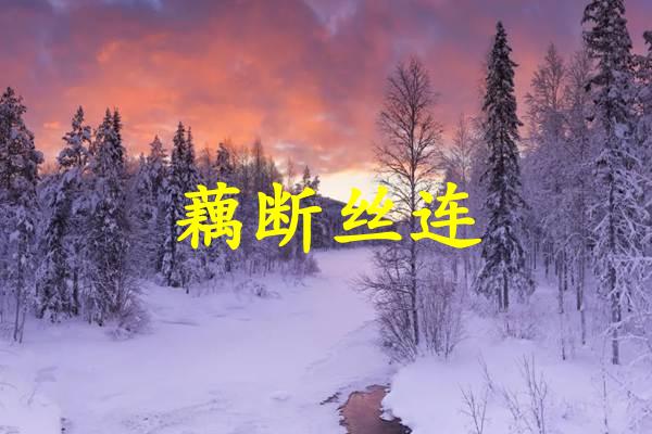藕断丝连