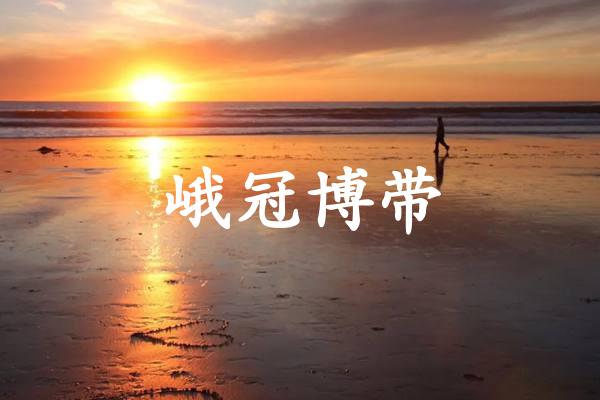 峨冠博带