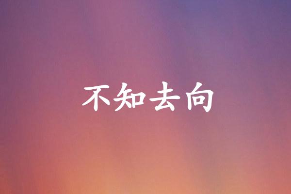 不知去向