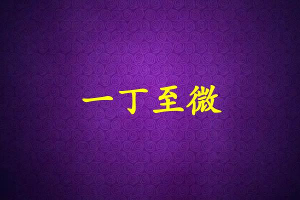 一丁至微