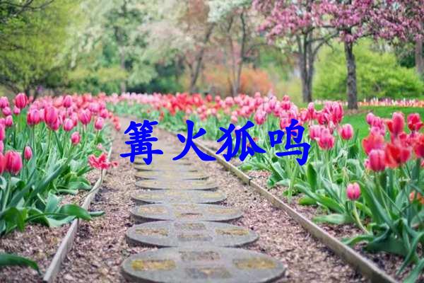 篝火狐鸣