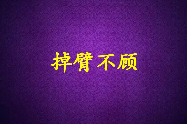 掉臂不顾