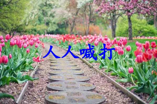 人人喊打