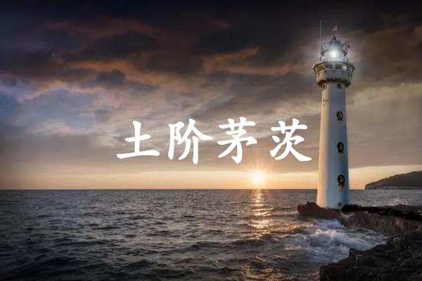 土阶茅茨