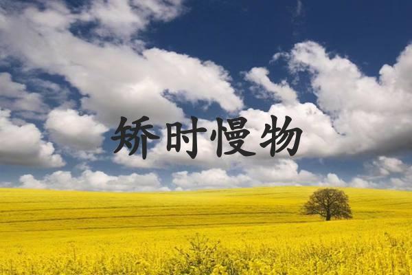 矫时慢物