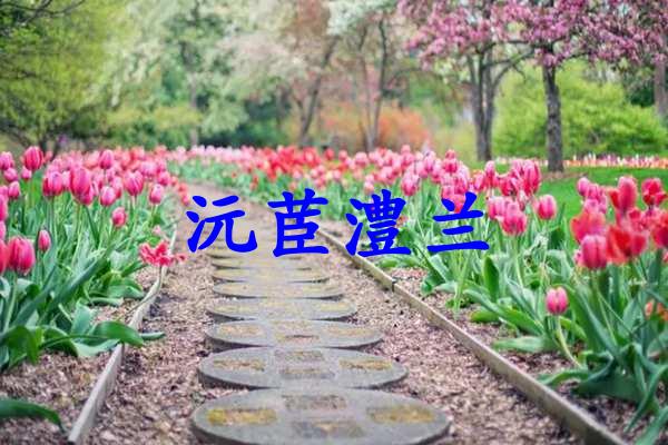 沅茞澧兰