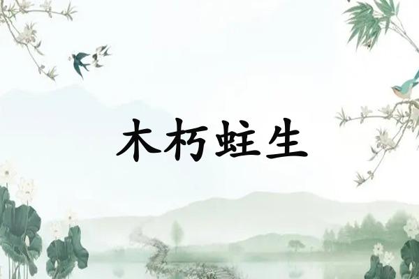 木朽蛀生
