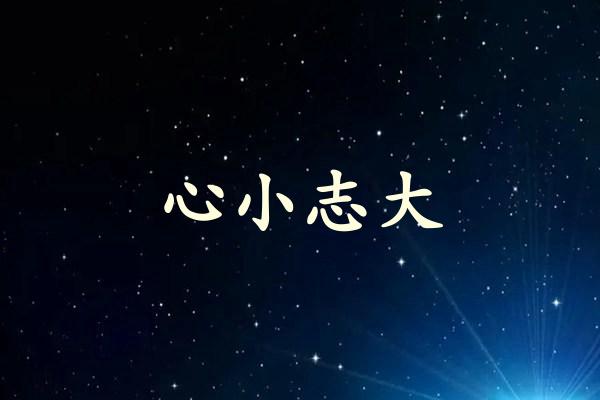心小志大