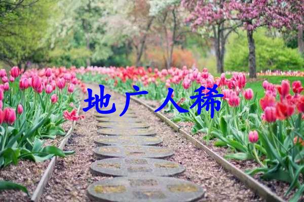 地广人稀