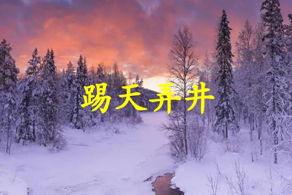 踢天弄井
