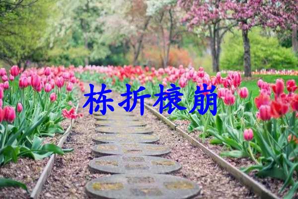 栋折榱崩