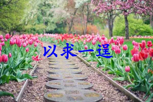 以求一逞