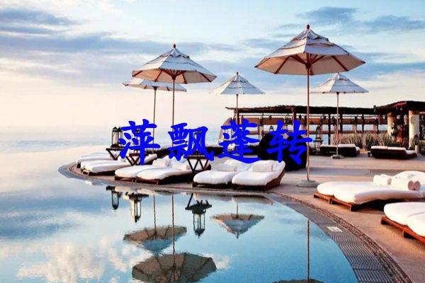 萍飘蓬转