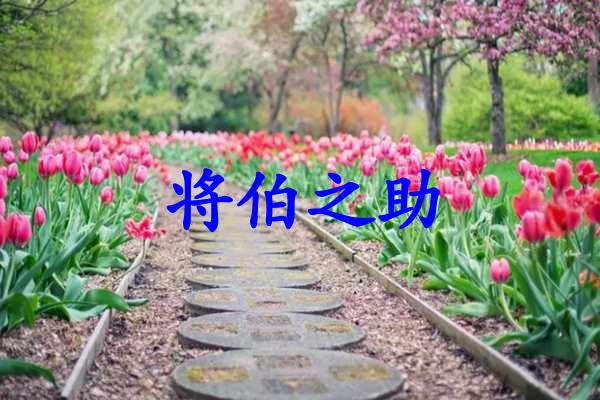 将伯之助