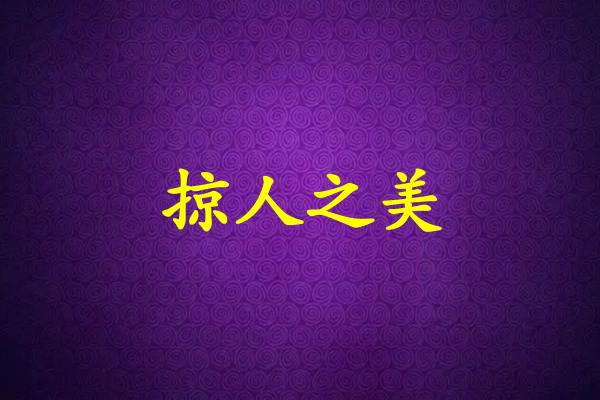掠人之美