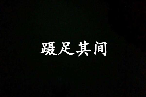 蹑足其间