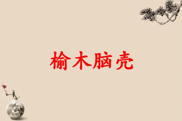 榆木脑壳