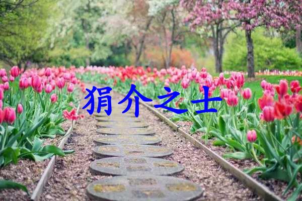 狷介之士