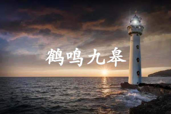 鹤鸣九皋