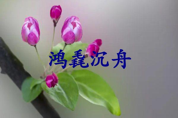 鸿毳沉舟