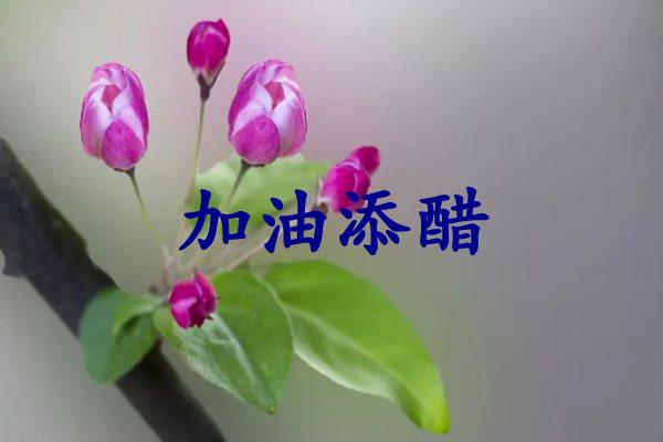 加油添醋