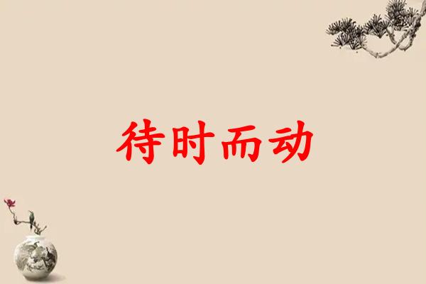 待时而动