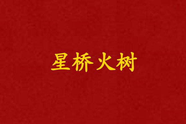 星桥火树