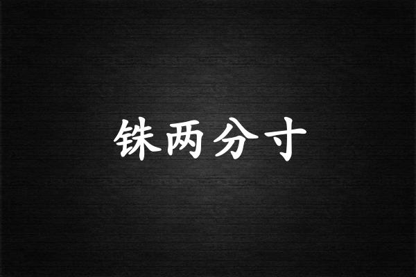 铢两分寸