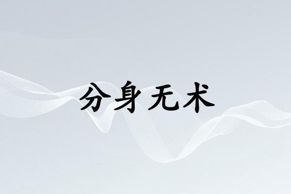 分身无术