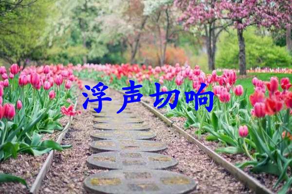 浮声切响