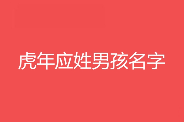 应姓男孩名字