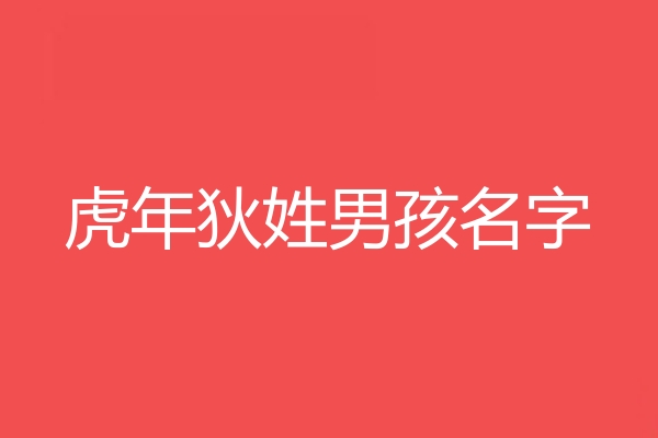 狄姓男孩名字