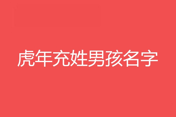 充姓男孩名字