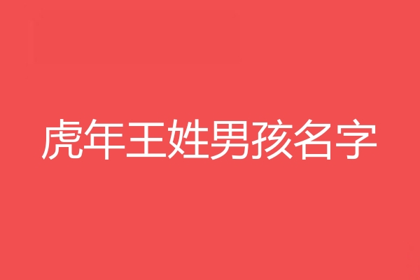 王姓男孩名字